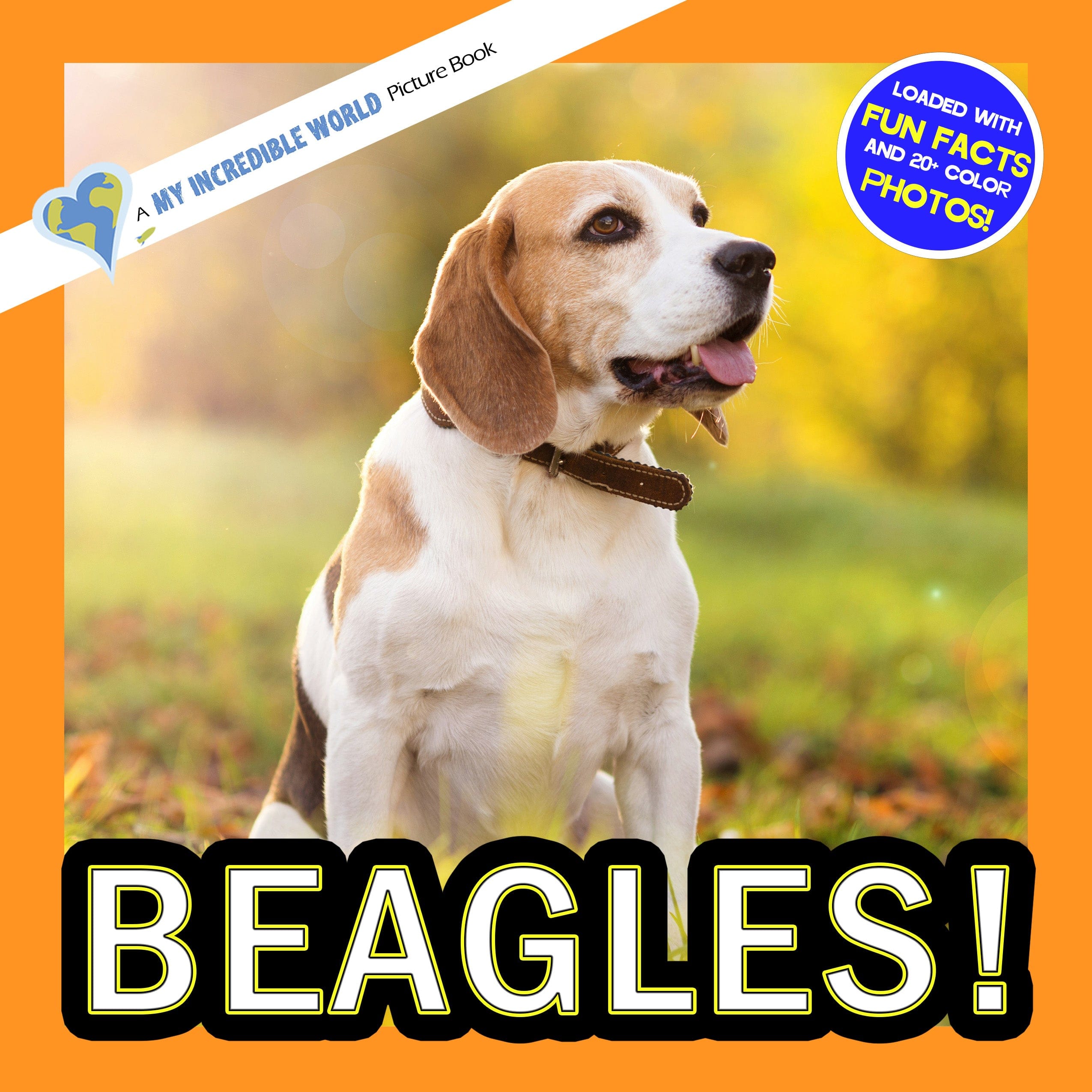 Beagles! A My Incredible World Picture Book for Children